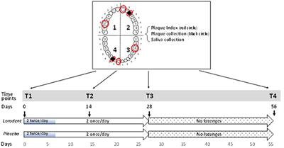 Effectiveness of the Lorodent Probiotic Lozenge in Reducing Plaque and Streptococcus mutans Levels in Orthodontic Patients: A Double-Blind Randomized Control Trial